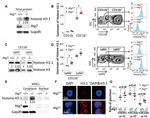 CD11b Antibody in Flow Cytometry (Flow)