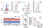 CD11b Antibody in Flow Cytometry (Flow)