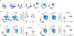 CD44 Antibody in Flow Cytometry (Flow)