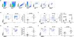 CD44 Antibody in Flow Cytometry (Flow)