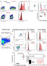 CD45 Antibody in Flow Cytometry (Flow)