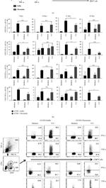 TNF alpha Antibody in Flow Cytometry (Flow)