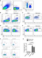 FOXP3 Antibody in Flow Cytometry (Flow)