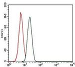 Cardiac Troponin T Antibody in Flow Cytometry (Flow)