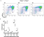 CD71 (Transferrin Receptor) Antibody in Flow Cytometry (Flow)