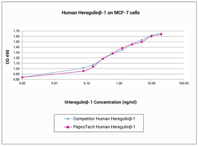 Human Heregulin beta-1 Protein in Functional Assay (Functional)