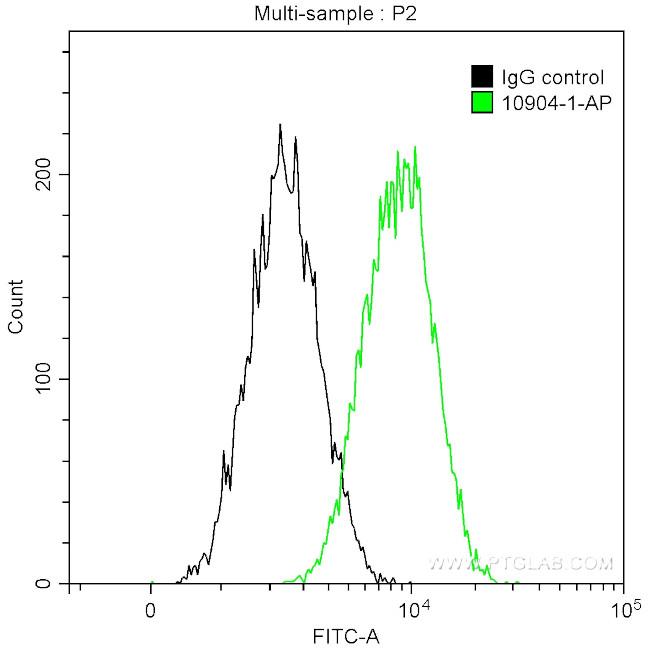 IBA1 Antibody in Flow Cytometry (Flow)