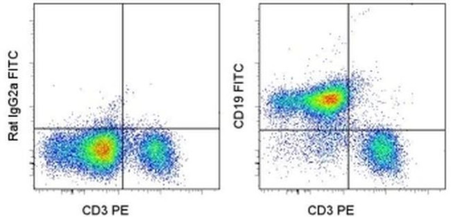 CD19 Antibody in Flow Cytometry (Flow)