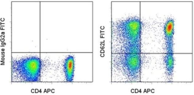 CD62L (L-Selectin) Antibody in Flow Cytometry (Flow)