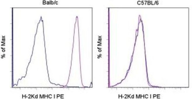 MHC Class I (H-2Kd) Antibody in Flow Cytometry (Flow)