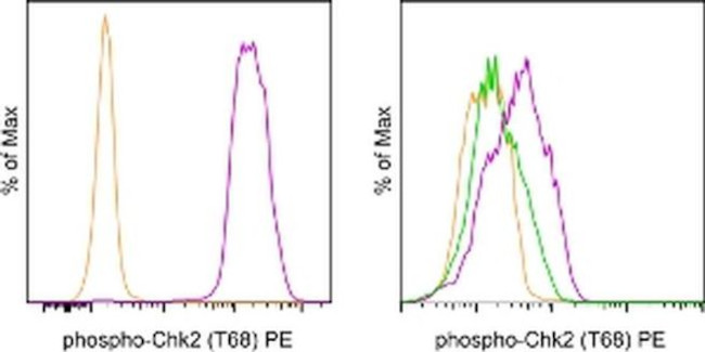 Phospho-CHK2 (Thr68) Antibody in Flow Cytometry (Flow)