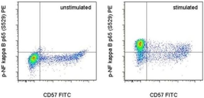 Phospho-NFkB p65 (Ser529) Antibody in Flow Cytometry (Flow)