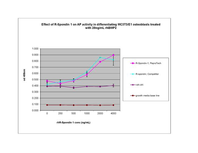 Human R-Spondin 1 Protein in Functional Assay (Functional)