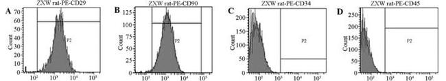 CD29 (Integrin beta 1) Antibody in Flow Cytometry (Flow)