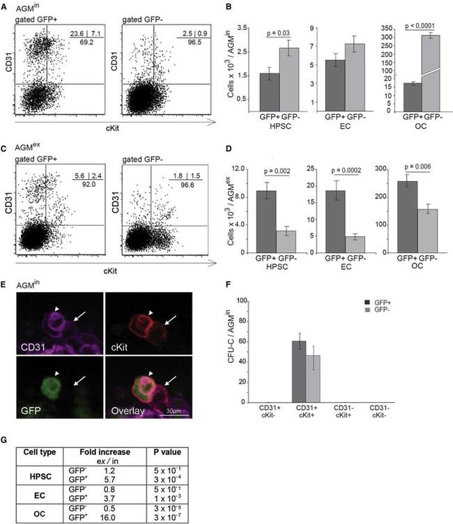 CD117 (c-Kit) Antibody in Flow Cytometry (Flow)