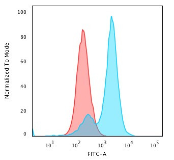 Collagen VII Antibody in Immunocytochemistry (ICC/IF)