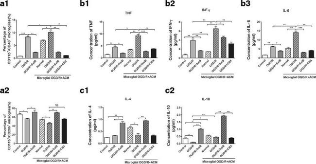 CD206 (MMR) Antibody in Flow Cytometry (Flow)