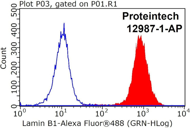 Lamin B1 Antibody in Flow Cytometry (Flow)