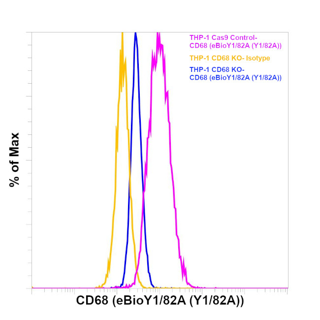 CD68 Antibody