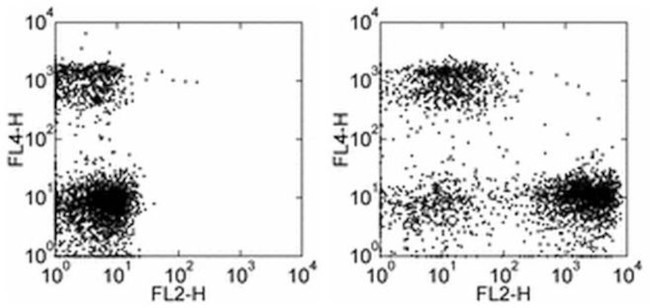 CD71 (Transferrin Receptor) Antibody in Flow Cytometry (Flow)