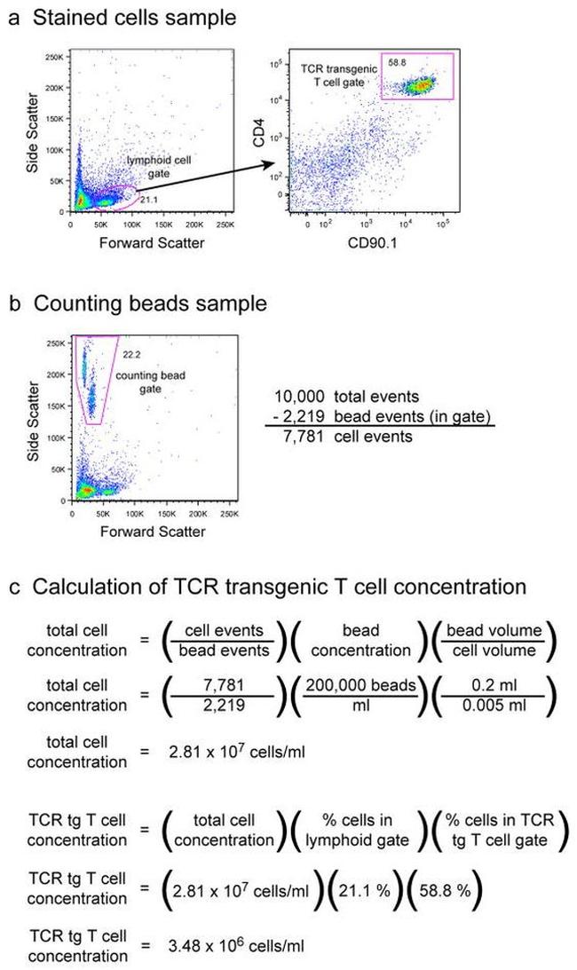 CD90.2 (Thy-1.2) Antibody in Flow Cytometry (Flow)