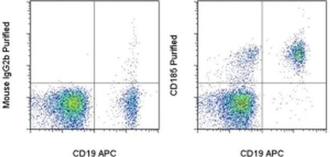 CD185 (CXCR5) Antibody in Flow Cytometry (Flow)