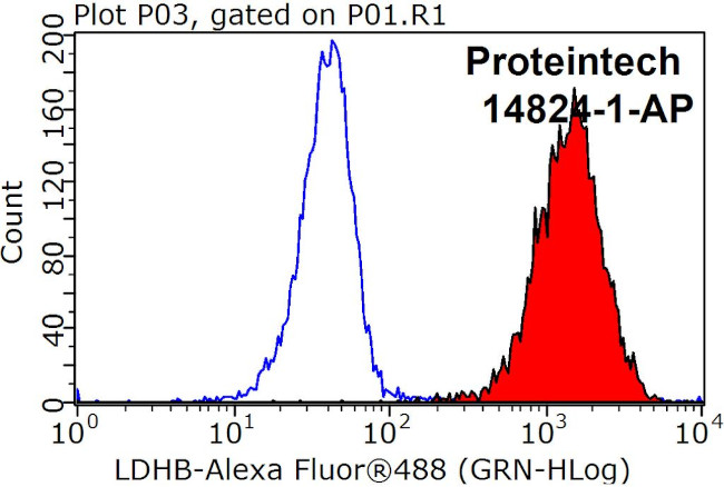 LDHB Antibody in Flow Cytometry (Flow)