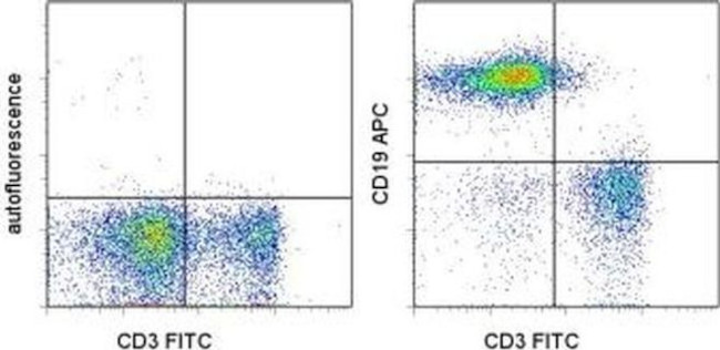 CD19 Antibody in Flow Cytometry (Flow)