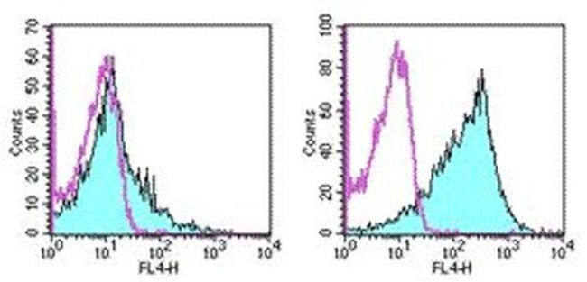 CD86 (B7-2) Antibody in Flow Cytometry (Flow)