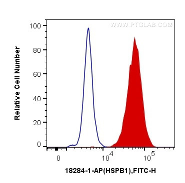 HSP27 Antibody in Flow Cytometry (Flow)