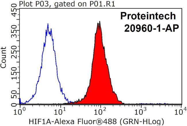 HIF1a Antibody in Flow Cytometry (Flow)