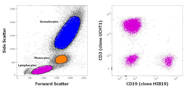 CD3/CD19 Antibody in Flow Cytometry (Flow)