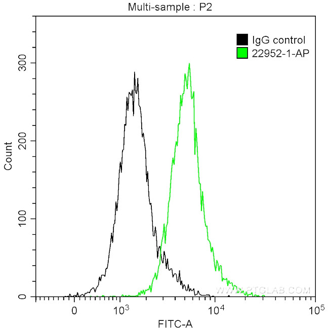 Osteopontin Antibody in Flow Cytometry (Flow)