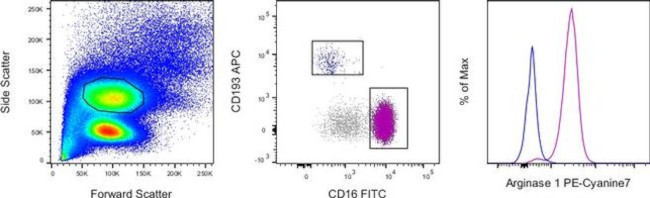 Arginase 1 Antibody in Flow Cytometry (Flow)