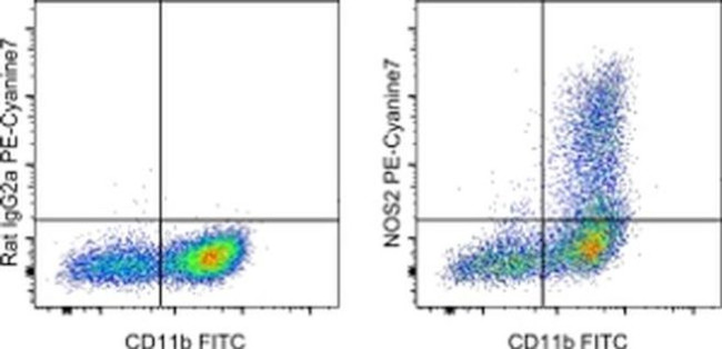 iNOS Antibody in Flow Cytometry (Flow)