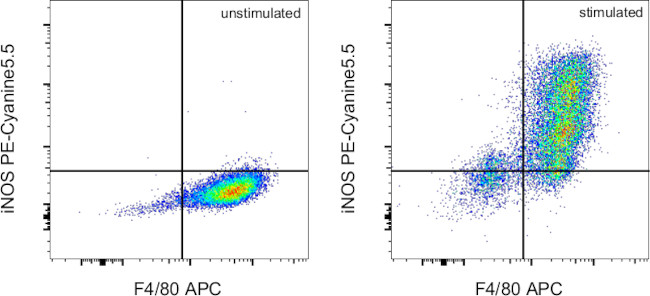 iNOS Antibody in Flow Cytometry (Flow)