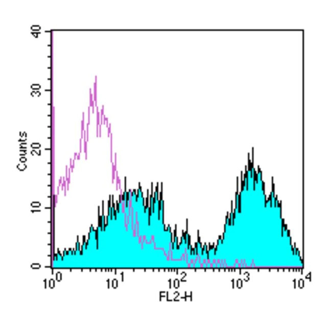 MHC Class II (I-A/I-E) Antibody in Flow Cytometry (Flow)