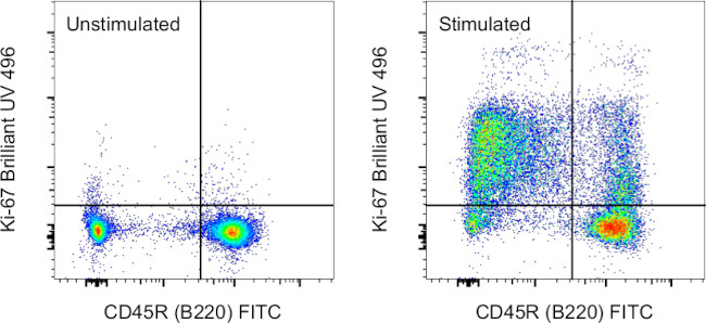 Ki-67 Antibody in Flow Cytometry (Flow)