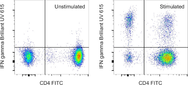 IFN gamma Antibody in Flow Cytometry (Flow)