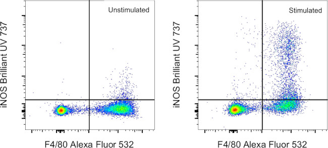 iNOS Antibody in Flow Cytometry (Flow)