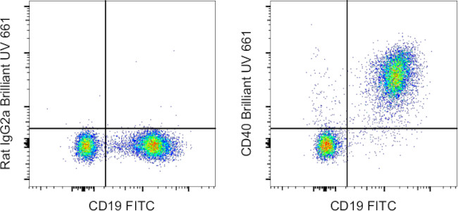 CD40 Antibody in Flow Cytometry (Flow)