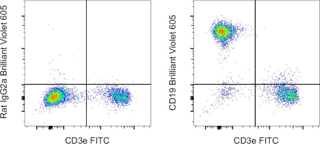 CD19 Antibody in Flow Cytometry (Flow)