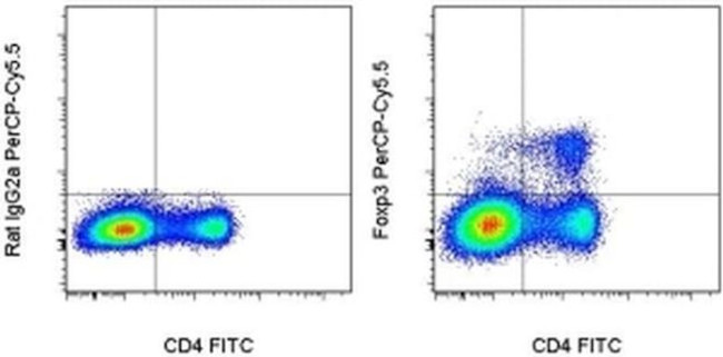 FOXP3 Antibody in Flow Cytometry (Flow)