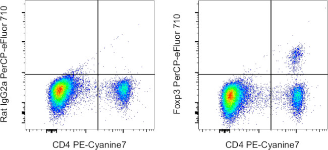 FOXP3 Antibody in Flow Cytometry (Flow)