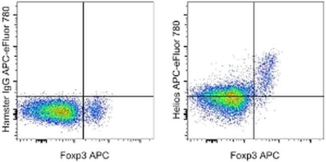 HELIOS Antibody in Flow Cytometry (Flow)