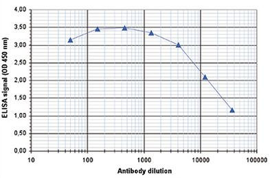 H3K4me3 Antibody in ELISA (ELISA)