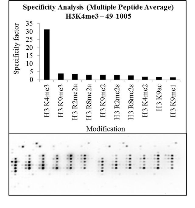 H3K4me3 Antibody in Peptide array (Array)