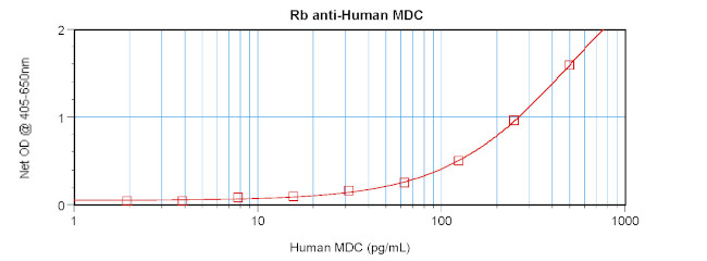 MDC Antibody in ELISA (ELISA)