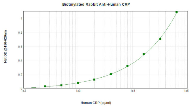 CRP Antibody in ELISA (ELISA)