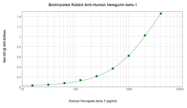HRG beta-1 Antibody in ELISA (ELISA)
